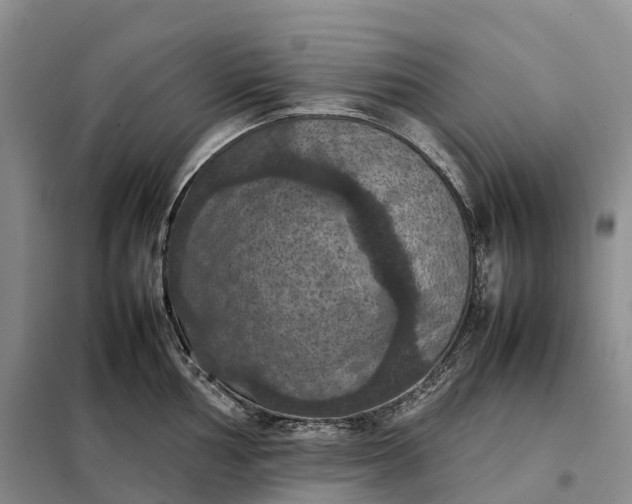 X0000098001002200804071213
