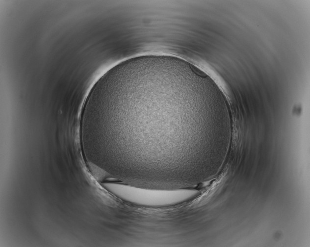 X0000098001004200804071213