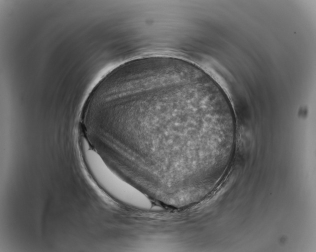 X0000098001005200804071213
