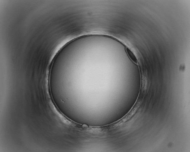 X0000098001006200804071213