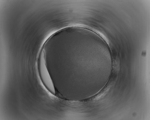 X0000098001007200804071213