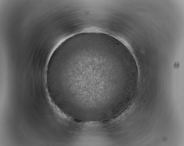 X0000098001008200804071213