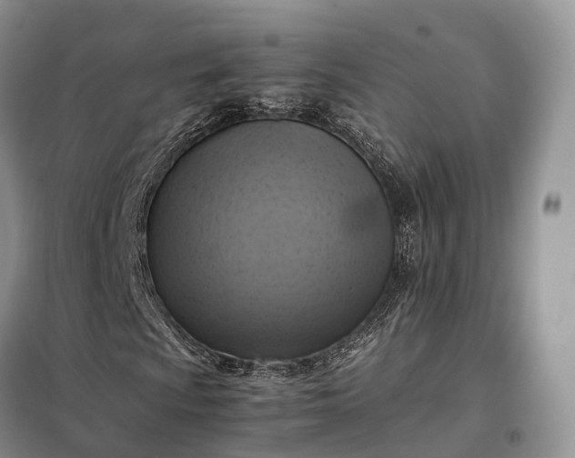 X0000098001009200804071212
