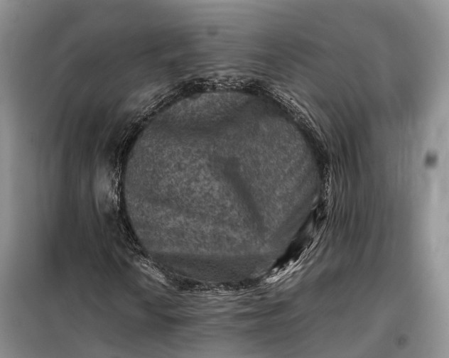 X0000098001010200804071212