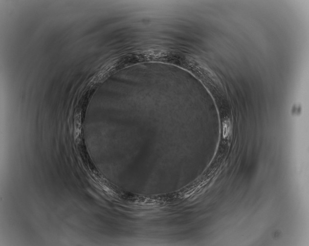 X0000098001011200804071212