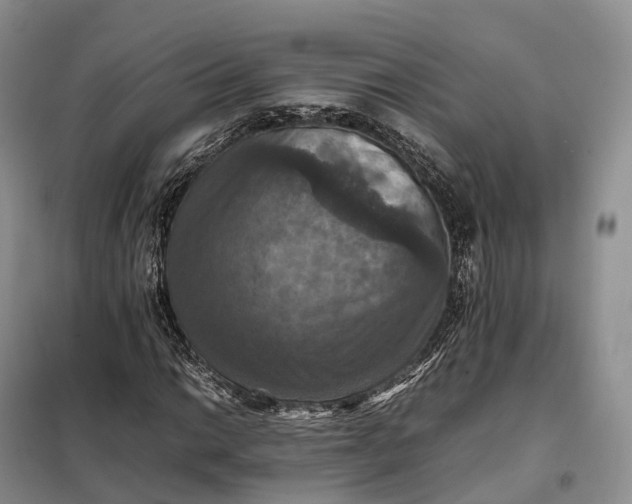 X0000098001014200804071212