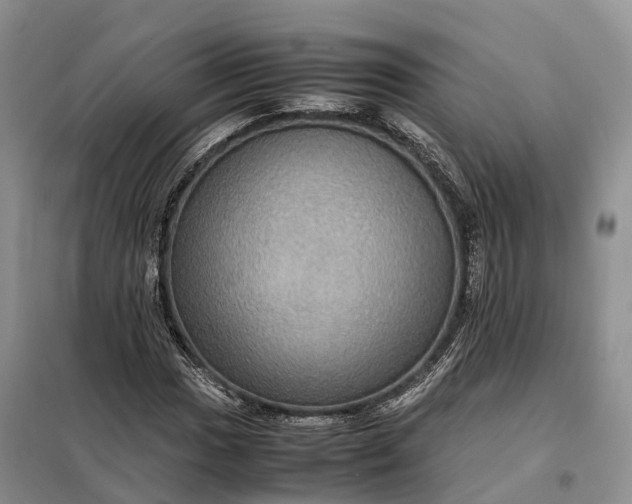 X0000098001017200804071212