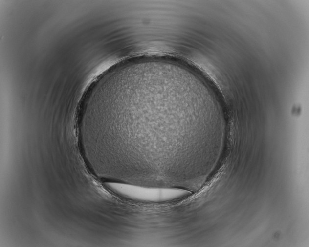 X0000098001018200804071212