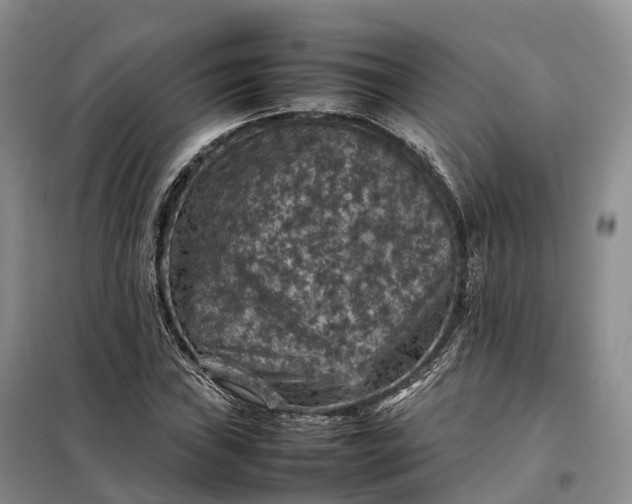 X0000098001019200804071212