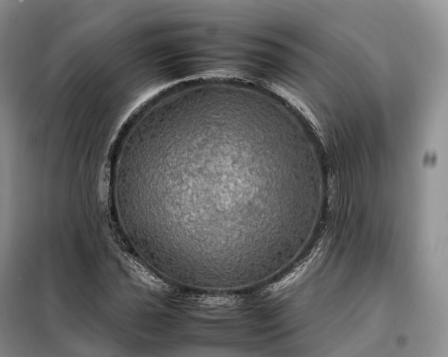 X0000098001021200804071212