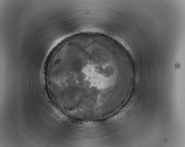 X0000098001022200804071212