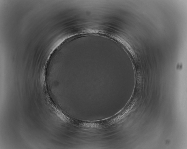 X0000098001023200804071212