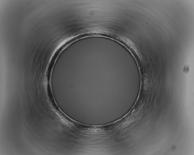 X0000098001024200804071212