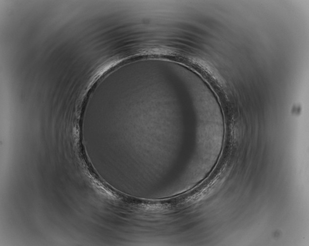 X0000098001025200804071212