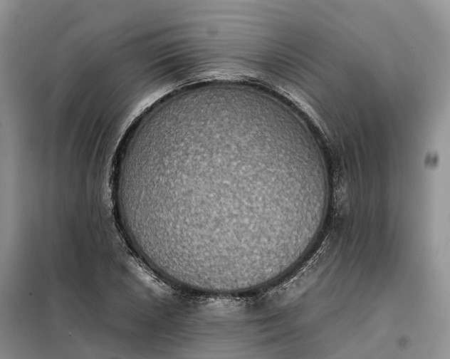 X0000098001026200804071212