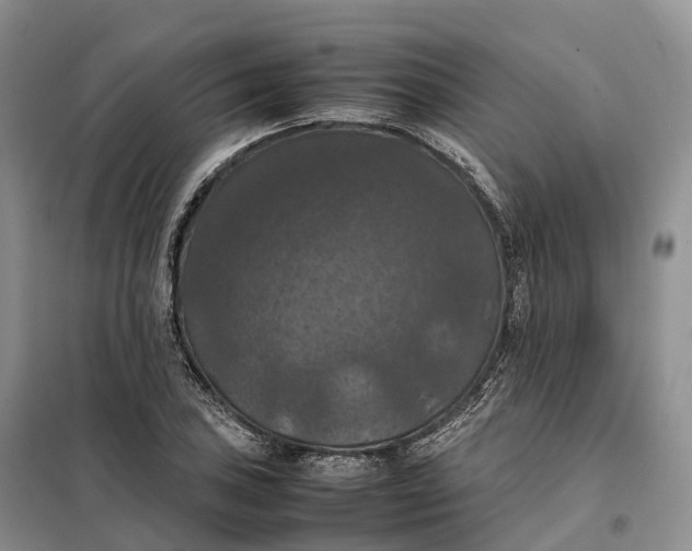X0000098001027200804071212