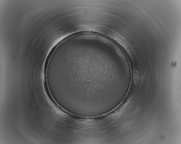 X0000098001028200804071212