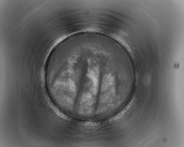 X0000098001029200804071212