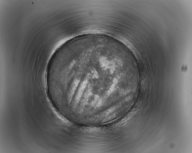 X0000098001030200804071212