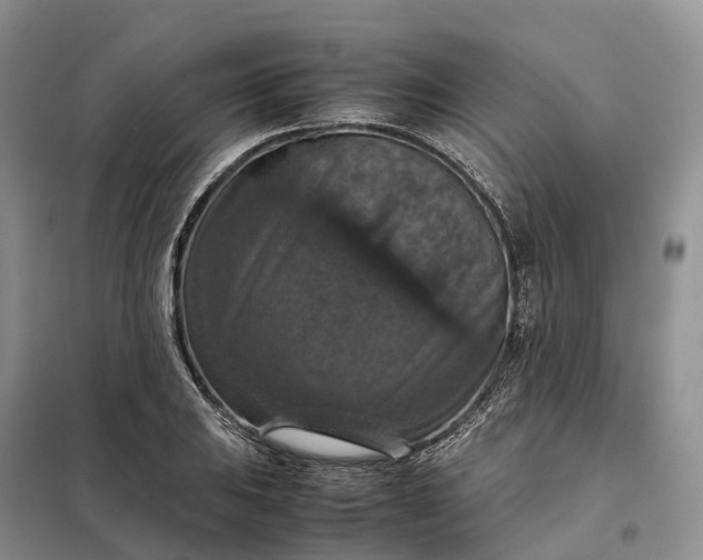 X0000098001031200804071212