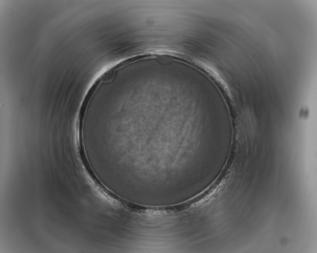 X0000098001032200804071212