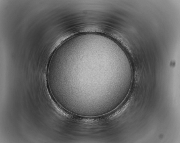 X0000098001033200804071212