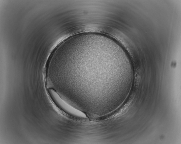 X0000098001034200804071212