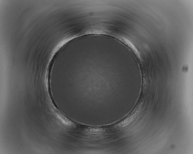 X0000098001035200804071212