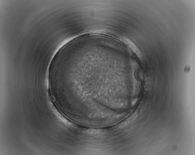 X0000098001036200804071212