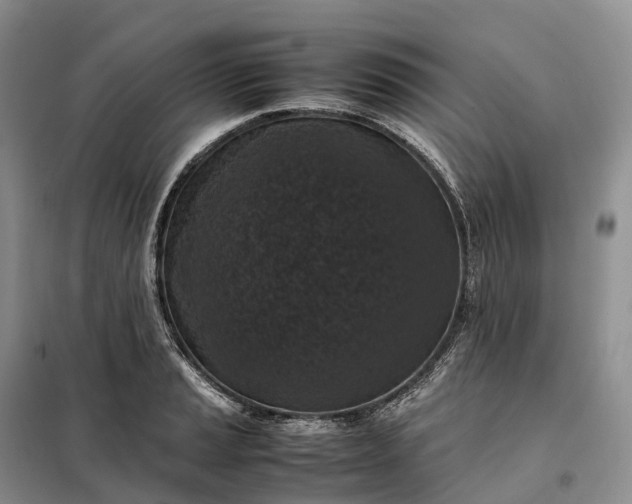 X0000098001037200804071212