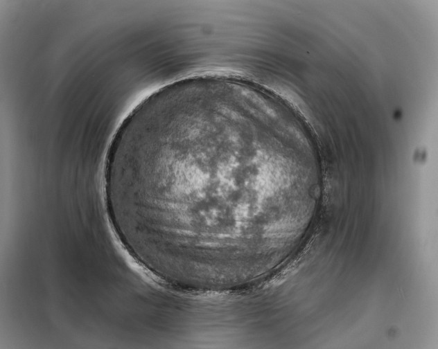 X0000098001038200804071213