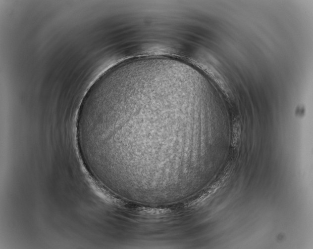 X0000098001039200804071213