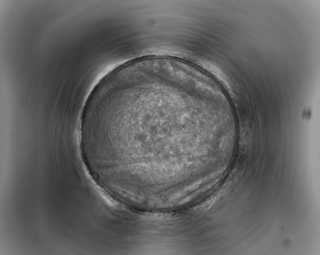 X0000098001040200804071213