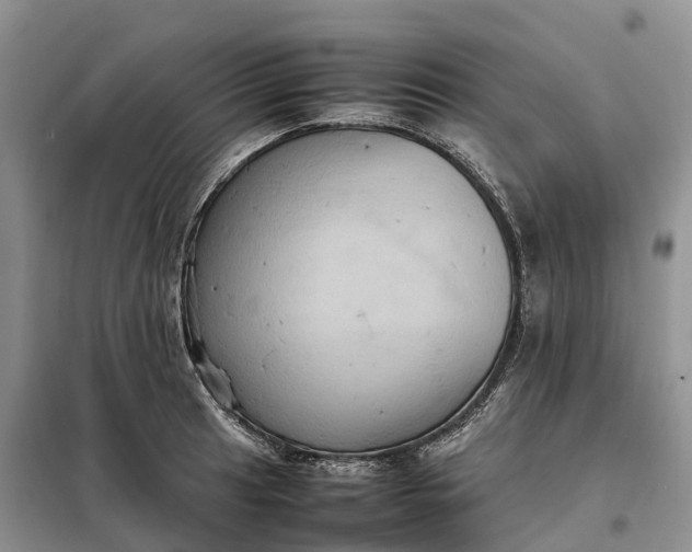 X0000098001041200804071213