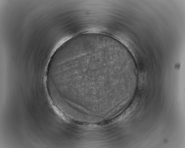 X0000098001042200804071213