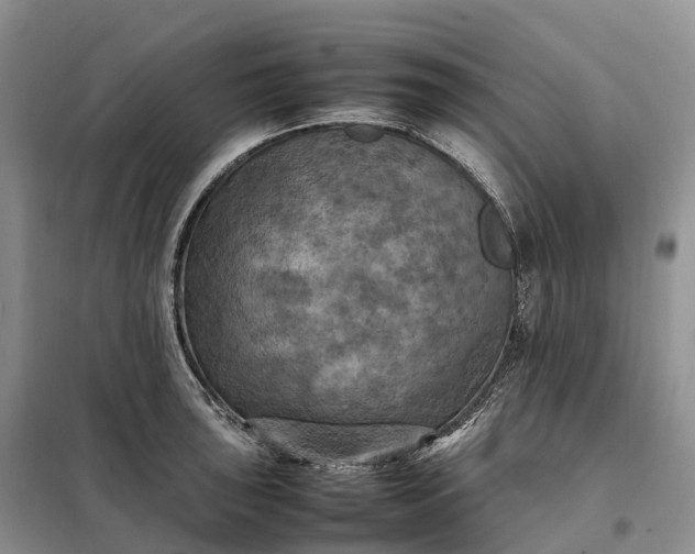 X0000098001043200804071213