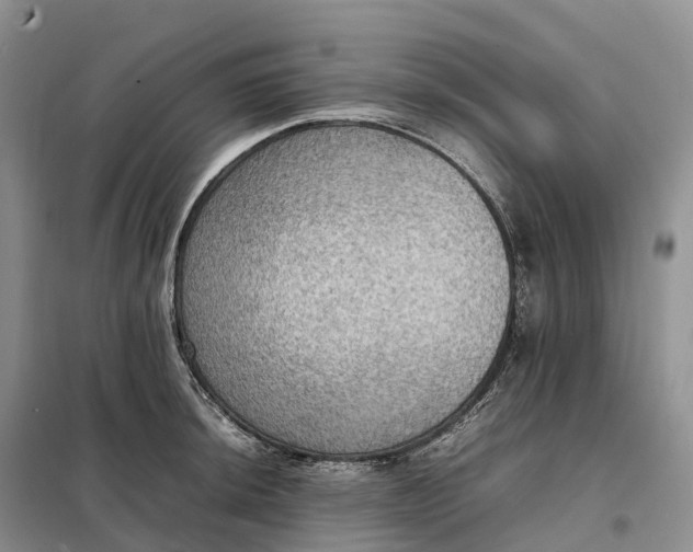 X0000098001044200804071213