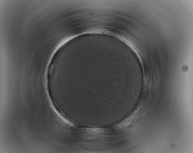 X0000098001045200804071213