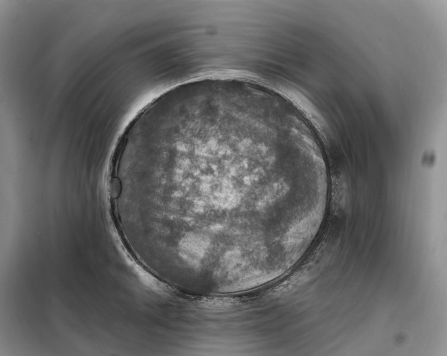 X0000098001046200804071213