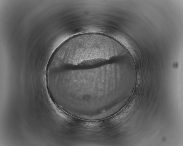 X0000098001047200804071213