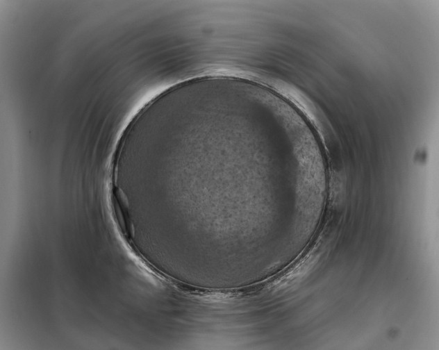 X0000098001048200804071213
