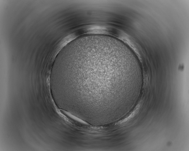 X0000098001049200804071213