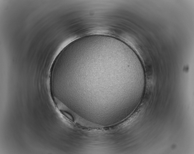 X0000098001050200804071213