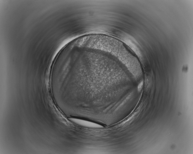 X0000098001052200804071213
