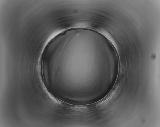 X0000098001053200804071213