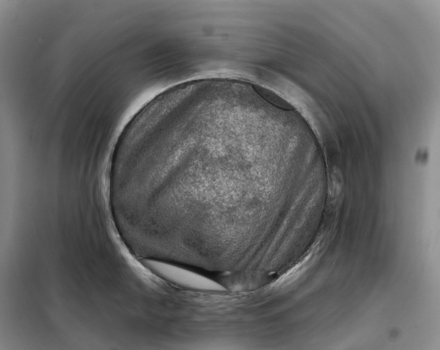 X0000098001054200804071213