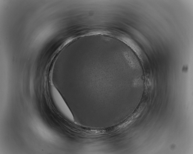 X0000098001055200804071213