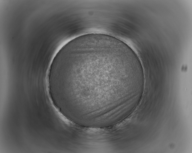 X0000098001056200804071213