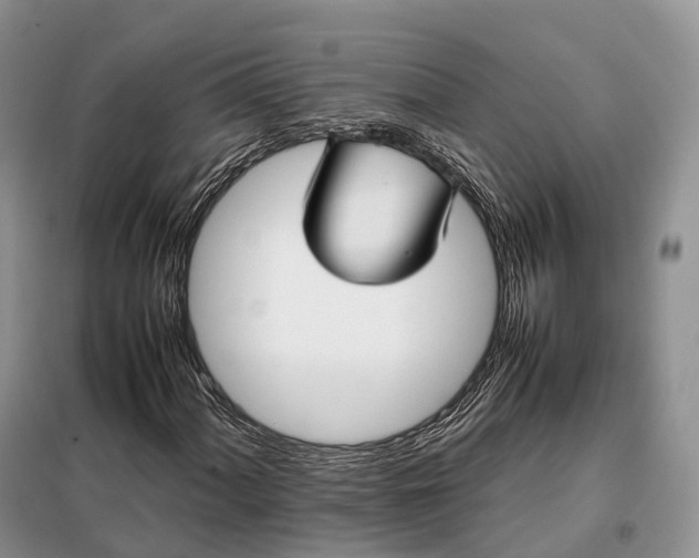 X0000098001060200804071212