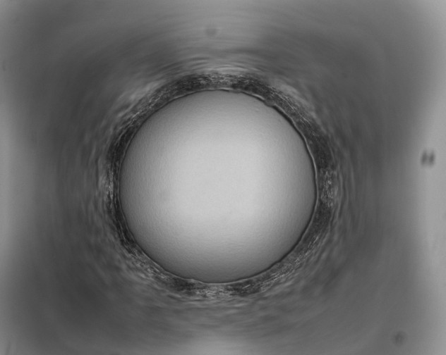 X0000098001061200804071212